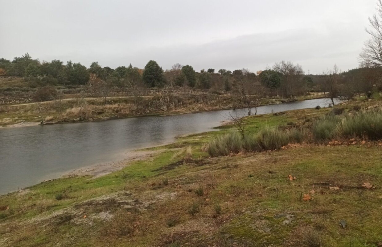 Imagem de ribeira com baixo caudal